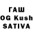 Псилоцибиновые грибы Psilocybine cubensis TalGames Studios
