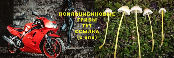 ПСИЛОЦИБИНОВЫЕ ГРИБЫ Алзамай
