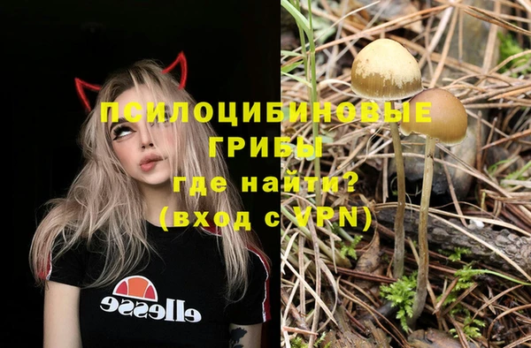прущие крисы Алексин